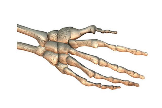 Skeleton hand